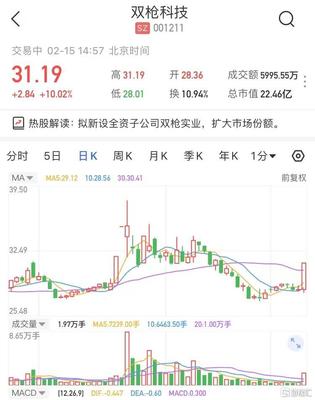 雙槍科技擬新設(shè)全資子公司雙槍實(shí)業(yè)，股價強(qiáng)勢漲停